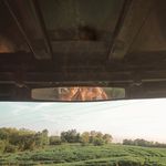 saul watson. - @saul.garrett - Instagram