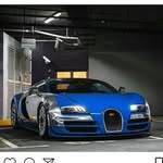 saul.withe3294 - @saul.white3294 - Instagram