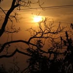 Saumil Sheth - @sheth.saumil - Instagram