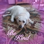 Sandra Gray - @sandragray3996 - Instagram
