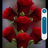 Sandra Lambert - @sandra.lambert0 - TikTok