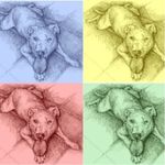 Sandra Ryan - @thebestlittledogintheworld - Instagram