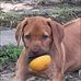 Saundra Schultz - Facebook