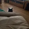 Sandra Stuart - @sandra.stuart2 - TikTok