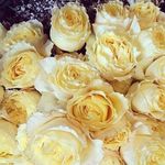 Sandra Watson - @watson8110 - Instagram