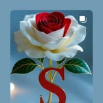 Saurabh Pathak - @saurabhpathak9466 - Instagram