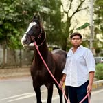 Savan Patel - @savan_patel_1083 - Instagram