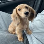 Savannah Ayers - Facebook