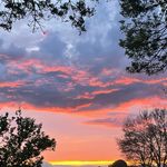 Savanna - @savanna.cherry_ - Instagram