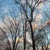 Savannah Cherry - @savannah.cherry6 - TikTok