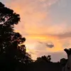 savannah Herring - @savannah.herring07 - TikTok