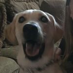 Savannah Benedict - @savannah_dlo - Instagram