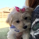 Savannah Lynn Benedict - @missdiva_savannahlynn - Instagram