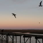 Savannah Bucket List Book - @savannahbucketlist - Instagram