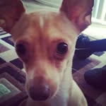 savannah - @savannahbuckner7 - Instagram