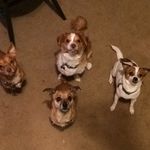 Savannah-Arian-Sebastian - @savannahsbunch - Instagram