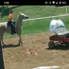 savannahburch7 - @yo_gurl_anne - TikTok