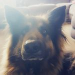 savannah_calvert 2003 - @sav_calve - Instagram