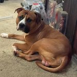 Savannah Conrad - @snoopy31320 - Instagram