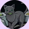 savannahcosta868 - @savannahcosta868 - TikTok