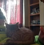 Savannah Dimick - Facebook