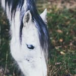 Star - @eaglemansavannah - Instagram
