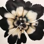 Savannah Entin - Facebook