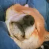 Savannah Evans - @savannah.evans08 - TikTok