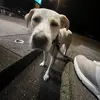 savannah - @savannah.frederick - TikTok