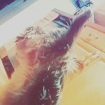 savannah Garrison - @savannah_garrison - Instagram