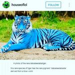 savannah garrison - @all_of_style - Instagram