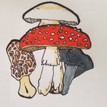 Savannah L. Gentry - @kawaiifungi - Instagram