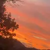 Woah_Vicks - @savannahgreene - TikTok