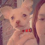 Savannah Hedrick - @sava.nnah5074 - Instagram