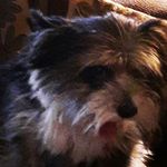 Savannah grace hendrix - @the_other_one_i_guess - Instagram