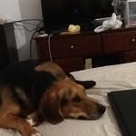 Savannah - @savannah_henry_lett - Instagram