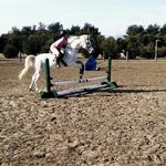Savannah Hook. 💙🐎💙 - @gotta_love_horses08641 - Instagram