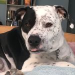 Savannah Huffman - @savannah_huff252 - Instagram