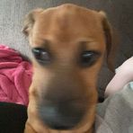 Savannah Grace Ingram - Facebook