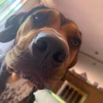 Savannah Jarrell - @biblio_banana - Instagram