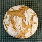 Savannah Kilpatrick - @savannahsfarmhousekitchen - Instagram