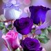 Safeena Kousser - Facebook