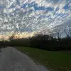 Savannah - @savannahlane900 - TikTok