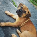 Bailey Girl - @savannah.mclaughlin.39566 - Instagram