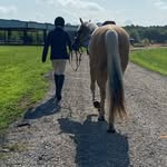 Savannah Laughlin - @savannah.ponies - Instagram