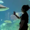 savannahmarquez6 - @savannahmarquez6 - TikTok