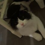 Savannah Maynard🤍 - @savannah_maynard26 - Instagram