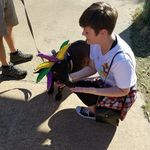 Savannah McCarty Knight - @hamsavandwich - Instagram