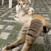 banana_24 - @savannahmcgee32 - TikTok