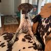 Savannah Mcgregor - @jepthegsp - TikTok